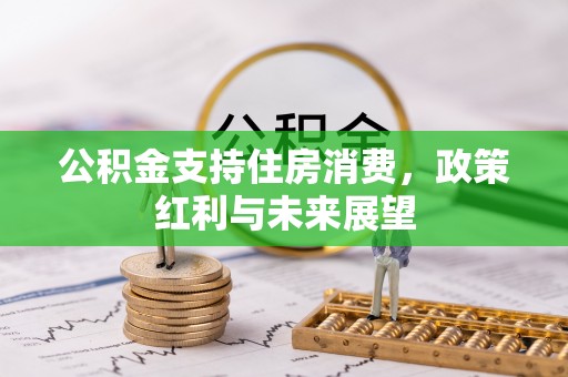线西公积金支持住房消费，政策红利与未来展望